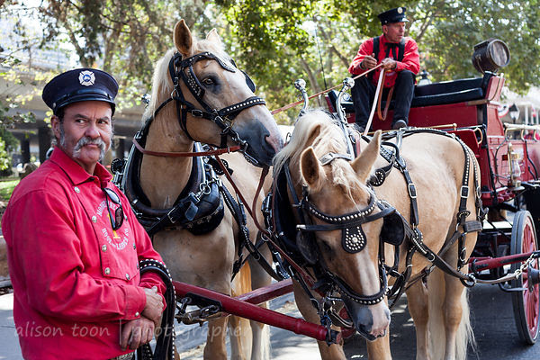 Fire department, Gold Rush Days 2016