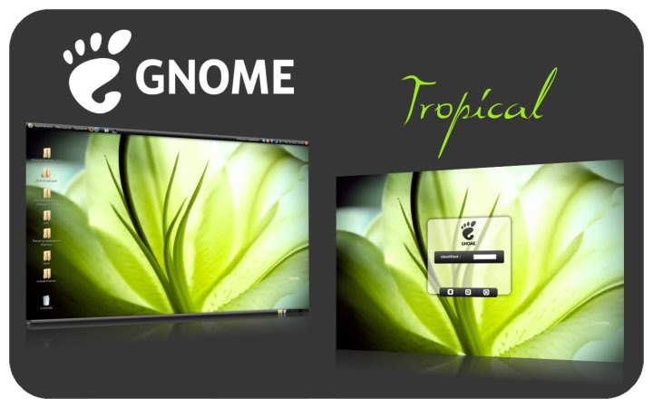 tropical-prsentation tropical-prsentation
