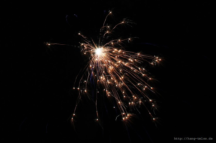 IMG_5499