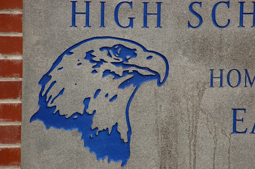 Old Eagle Logo