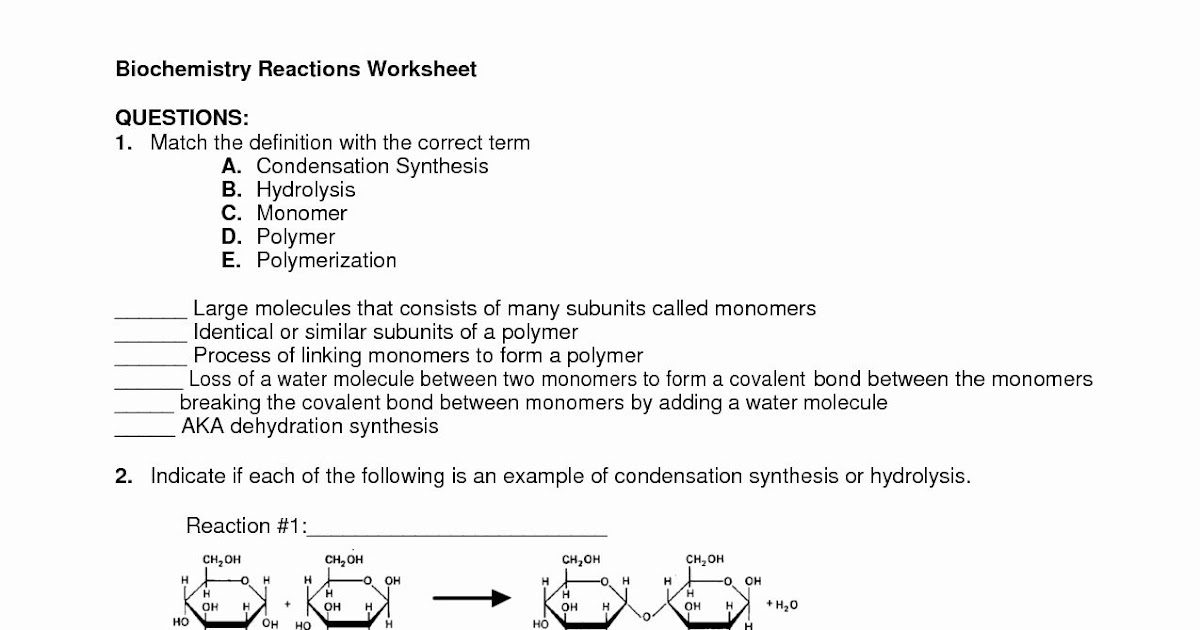 Organic Molecules Worksheet Review Answers