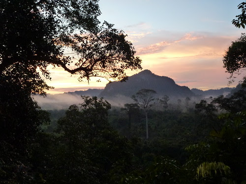 Gunung Mulu