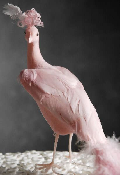 17" Pink Peacock 17" Pink Peacock