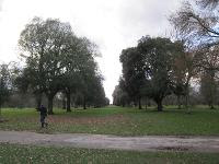 Free Image Hosting at www.ImageShack.us