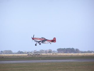 Kiwi Thunder Mustang