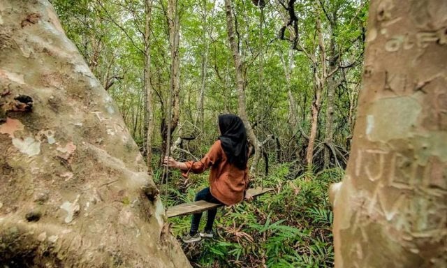Proposal Pengelolaan Hutan Sebagai Tempat Wisata