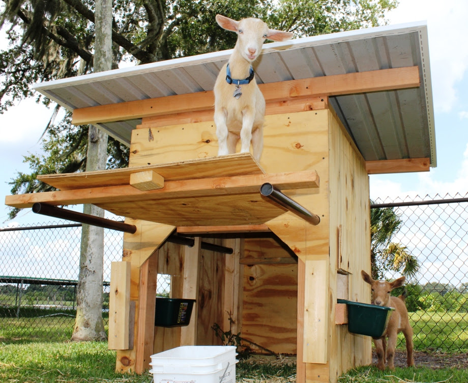 My Project Barn Plans For Goats