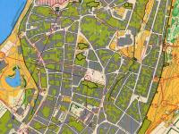 Maps from SM Sprint Final on Gotland