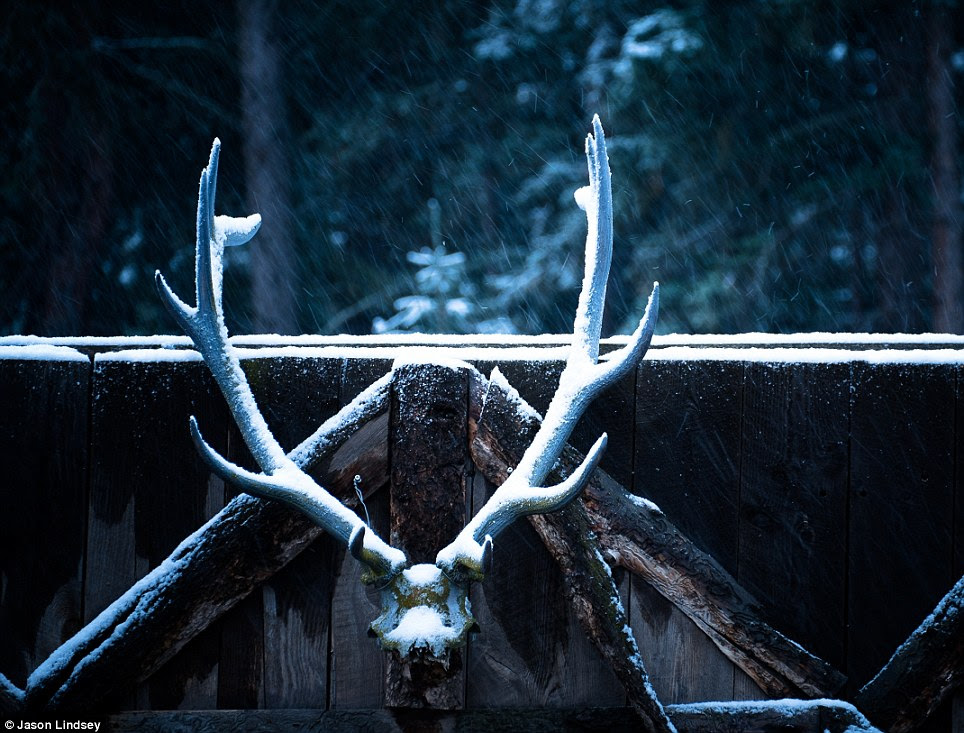 Antlers fixed to the outside of a building are dusted with snow as a flurry falls on Paradise Valley