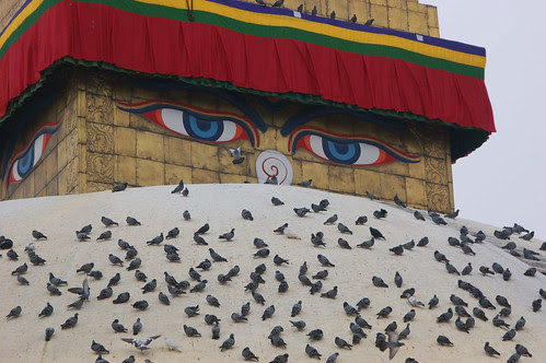 2buddha eyes over pigeons copy.jpg