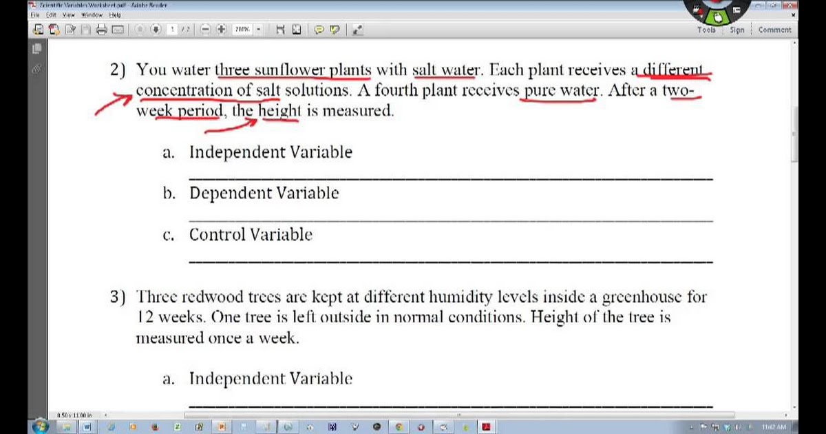 31 Identifying Variables In An Experiment Worksheet - Worksheet