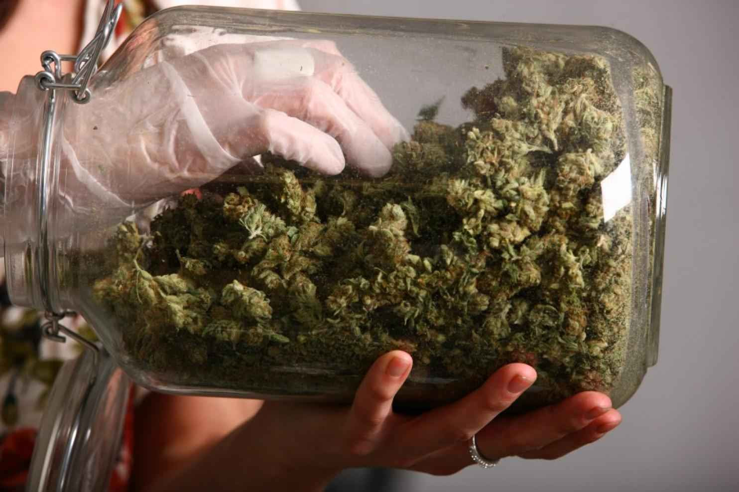 cannabis-4