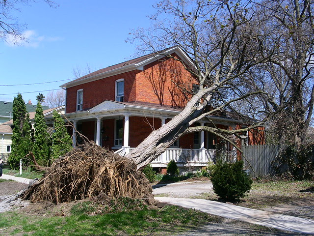 Wind Storm Damage - 3 May 2011 - St. Catharines - Ontario - NiagaraWatch.com