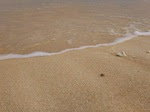 DSC_1278.JPG