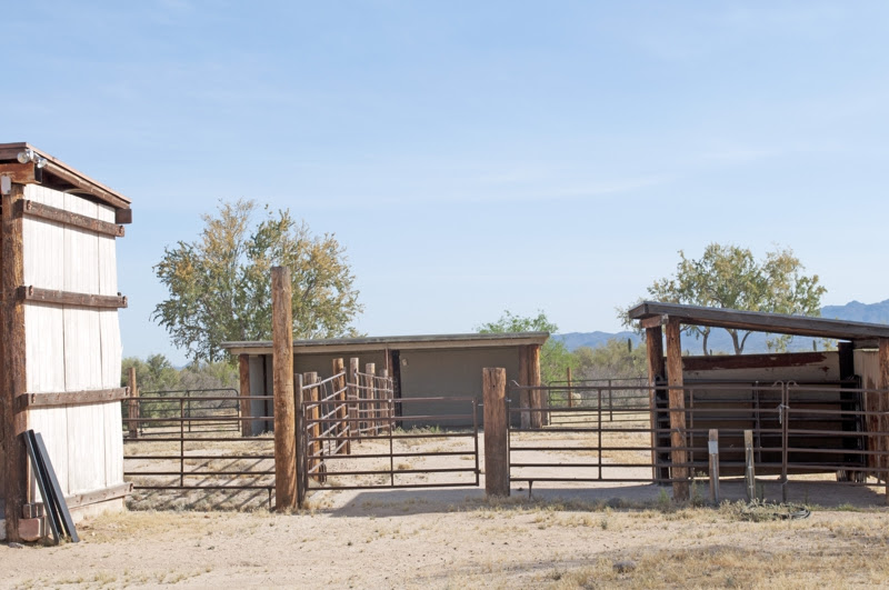 Hay For Sale Tucson Az