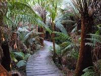 Free Image Hosting at www.ImageShack.us