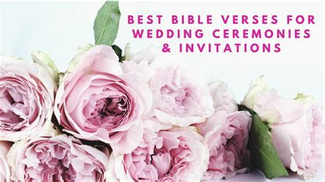Best Bible Verses For Wedding Ceremonies & Wedding Best Bible Verses For Wedding Ceremonies & Wedding