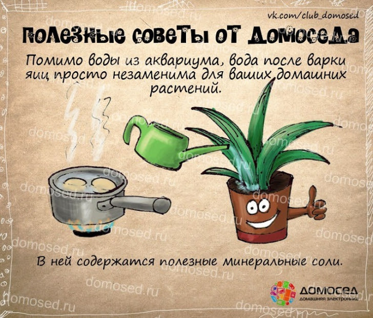 Полезные хозяйственные советы (часть 2) Полезные хозяйственные советы (часть 2)