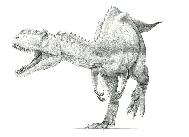 Yangchuanosaurus shangyouensis 