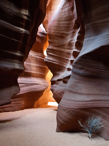 canyon antelope canyons exposing taking