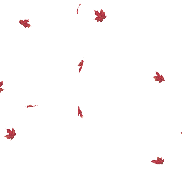 Falling Leaves Gif Transparent