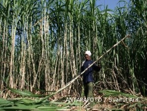 Garap bisnis bioetanol, PTPN X akan percepat bangun pabrik