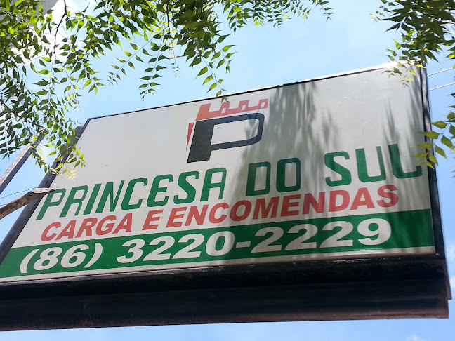 Comentários e avaliações sobre Expresso Princesa do Sul