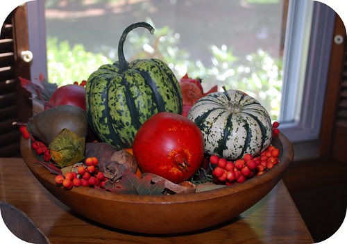 Autumn bowl