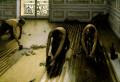 Caillebotte. Cepillando el parquet