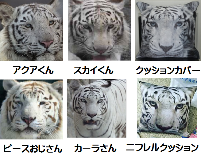 新着ニフレル 動物 ストレス 最高の動物画像