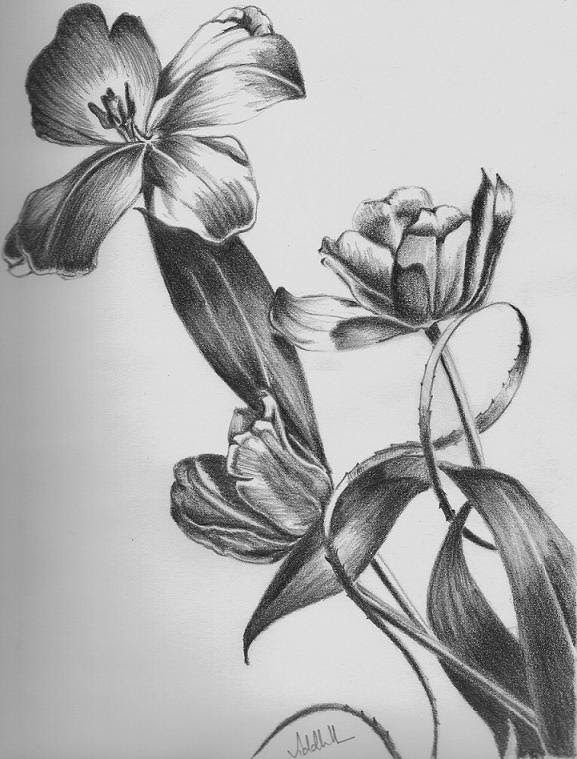 Featured image of post Flower Simple Cute Pencil Drawings / Any view you&#039;ve seen, any monument you&#039;ve fallen in love with, can all be added to your postcard with our personalization tool.