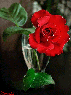 Алая роза в бокале