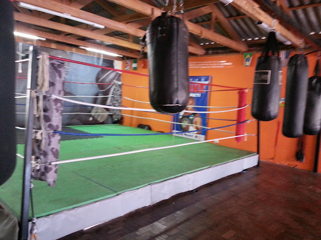 Boxe Training - Centro - Academia