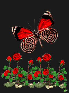 Алые розы и бабочка