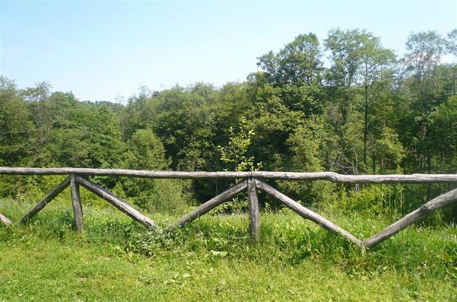 P1220292