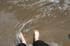 Hahei beach