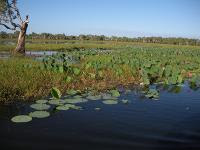 Free Image Hosting at www.ImageShack.us