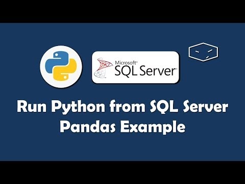 Python Python