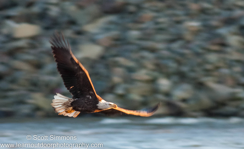 Photo & Video Sharing by SmugMug Photo & Video Sharing by SmugMug