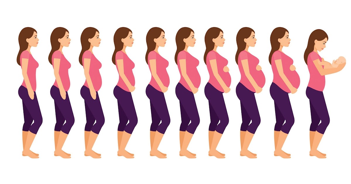 How Soon Can You Develop A Baby Bump: The Truth?
