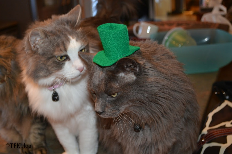 Jack in a St. Patrick hat