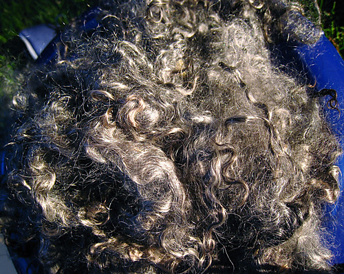 kid-mohair-1_medium