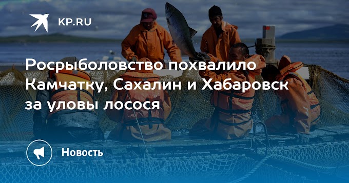 Росрыболовство похвалило Камчатку, Сахалин и Хабаровск за уловы лосося