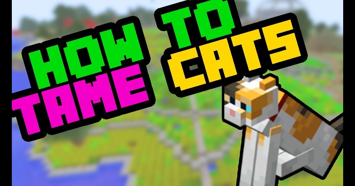 How To Tame A Cat In Minecraft Ps4 2019