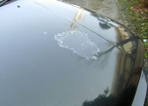 車 塗装 剥がれ 原因 Kuruma