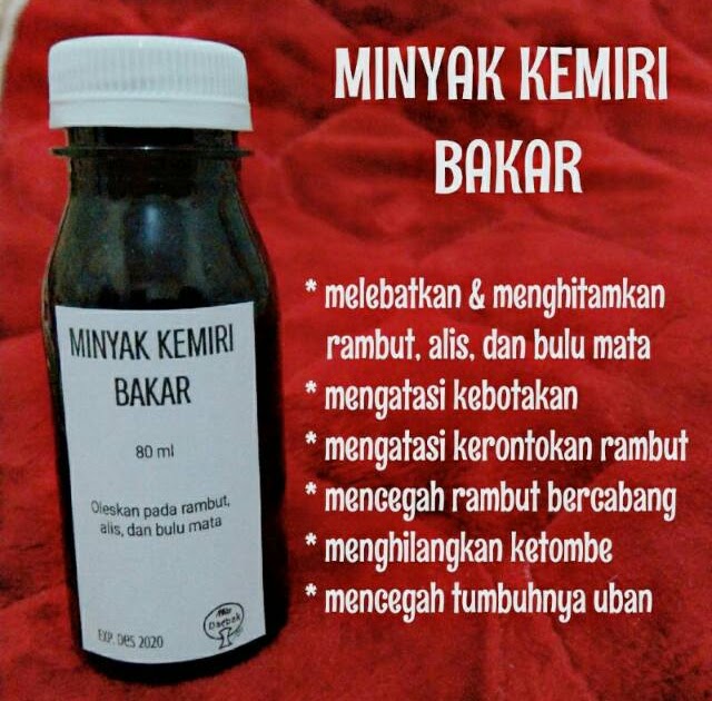 Cara Membuat Minyak Kemiri Untuk Bulu Mata Membuat Itu