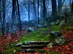 Only Three Steps to Heaven