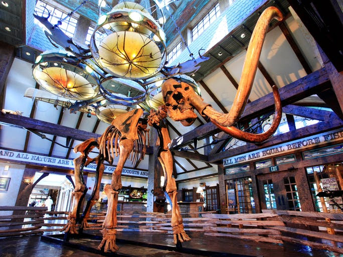 A woolly mammoth skeleton greets visitors at Top of the Rock, a new addition to the Big Cedar Lodge resort in Ridgedale, Mo.