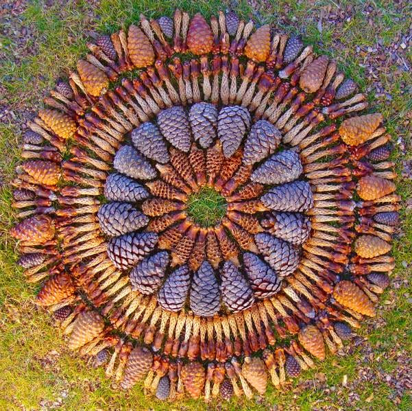 Flower Mandalas by Kathy Klein Flower Mandalas by Kathy Klein plants land art flowers