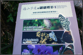 DSC04457